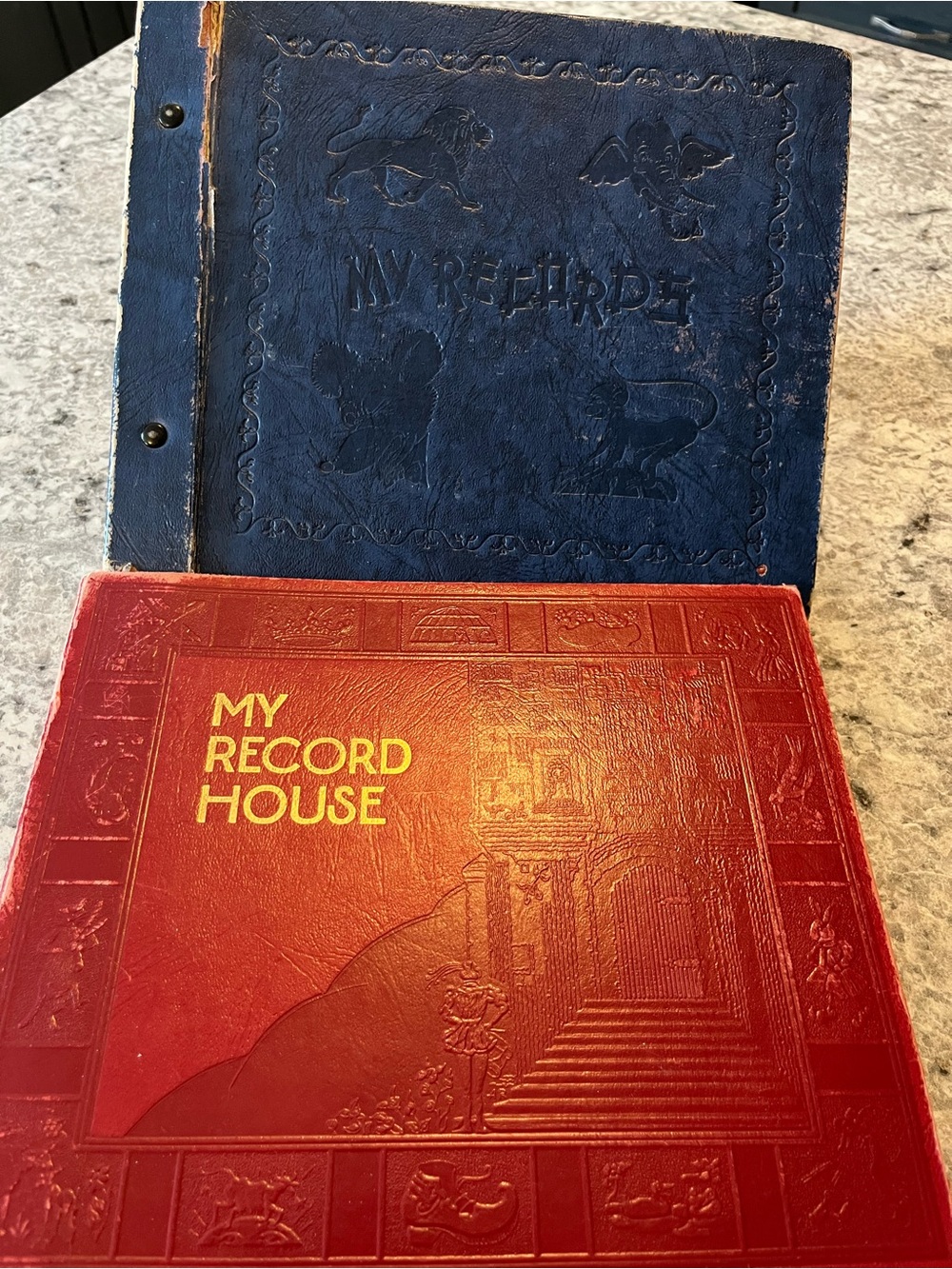 Vintage Mid Century Children’s Vinyl Record Storage Albums